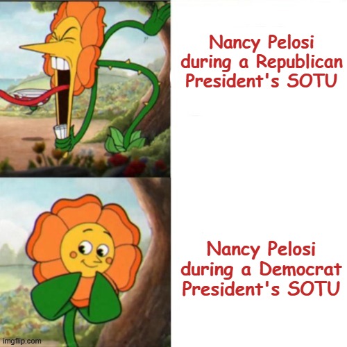State of the Union Reactions | Nancy Pelosi during a Republican President's SOTU; Nancy Pelosi during a Democrat President's SOTU | image tagged in sunflower,nancy pelosi,democrats,memes,state of the union | made w/ Imgflip meme maker