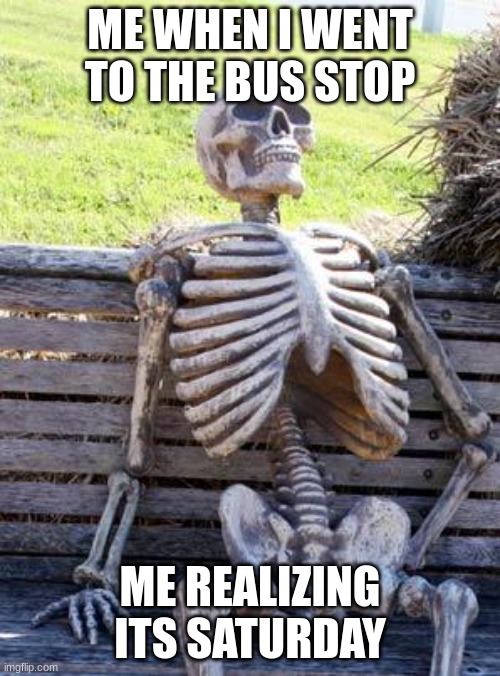 fr tho | ME WHEN I WENT TO THE BUS STOP; ME REALIZING ITS SATURDAY | image tagged in memes,waiting skeleton | made w/ Imgflip meme maker