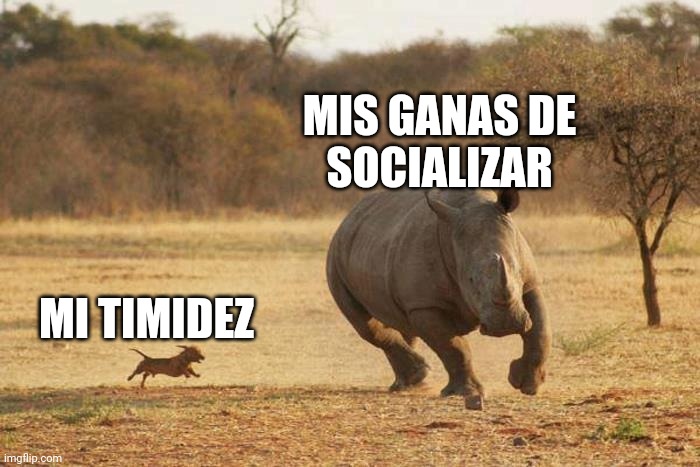 Lamentablemente a veces pasa | MIS GANAS DE
SOCIALIZAR; MI TIMIDEZ | image tagged in animals | made w/ Imgflip meme maker