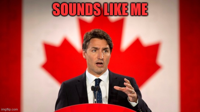 Justin Trudeau | SOUNDS LIKE ME | image tagged in justin trudeau | made w/ Imgflip meme maker