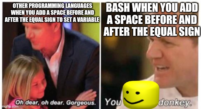 Bash scripting is pain | BASH WHEN YOU ADD A SPACE BEFORE AND AFTER THE EQUAL SIGN; OTHER PROGRAMMING LANGUAGES WHEN YOU ADD A SPACE BEFORE AND AFTER THE EQUAL SIGN TO SET A VARIABLE | image tagged in you oof donkey,bash,programming,programmers,coding,funny | made w/ Imgflip meme maker
