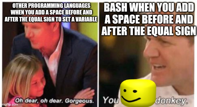 bash-scripting-is-pain-imgflip