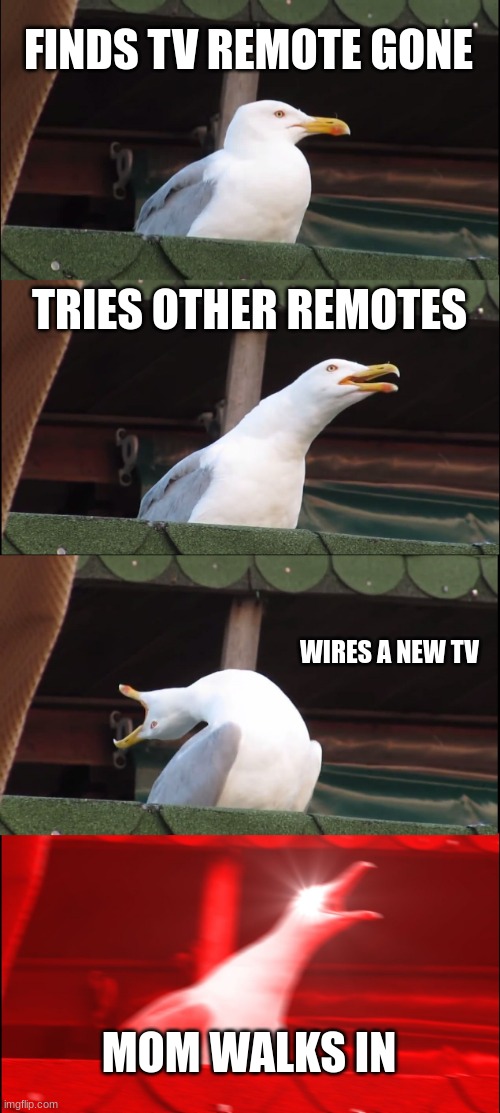 Inhaling Seagull Meme | FINDS TV REMOTE GONE; TRIES OTHER REMOTES; WIRES A NEW TV; MOM WALKS IN | image tagged in memes,inhaling seagull | made w/ Imgflip meme maker