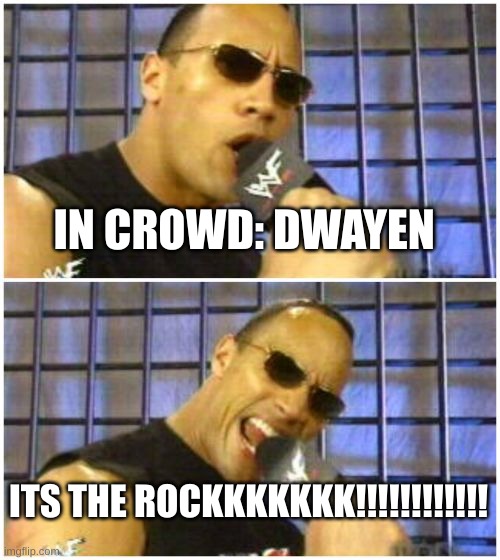 The Rock It Doesn't Matter Meme | IN CROWD: DWAYEN; ITS THE ROCKKKKKKK!!!!!!!!!!!! | image tagged in memes,the rock it doesn't matter | made w/ Imgflip meme maker