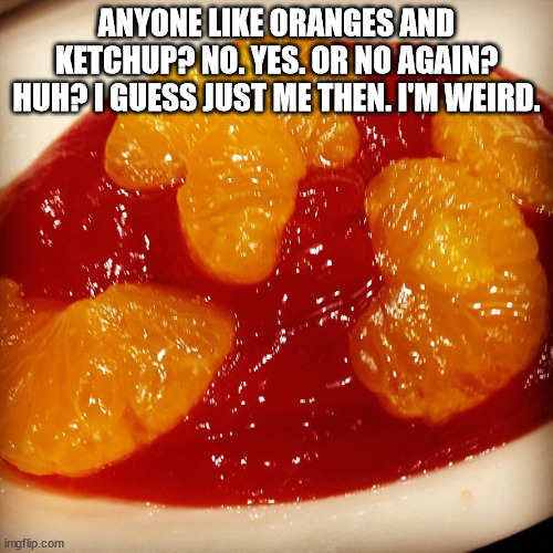ANYONE LIKE ORANGES AND KETCHUP? NO. YES. OR NO AGAIN? HUH? I GUESS JUST ME THEN. I'M WEIRD. | made w/ Imgflip meme maker