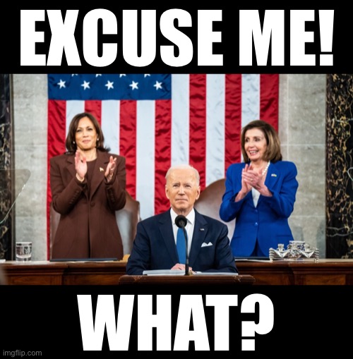 Joe Biden, no, no — you’re a disgusting leftist/globalist. | EXCUSE ME! WHAT? | image tagged in joe biden,creepy joe biden,biden,democrat party,communists,globalism | made w/ Imgflip meme maker