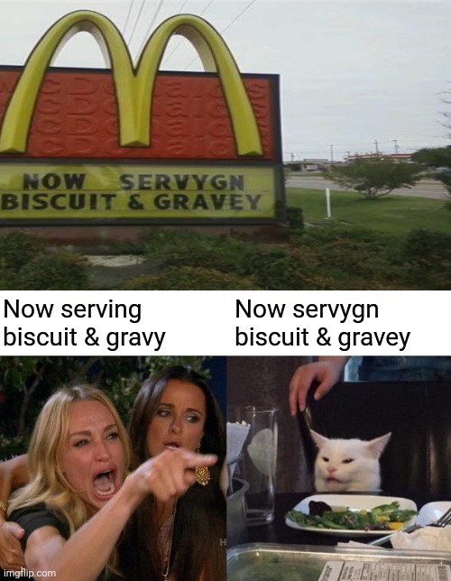 Now servygn biscuit & gravey | Now servygn biscuit & gravey; Now serving biscuit & gravy | image tagged in memes,woman yelling at cat,funny,blank white template,you had one job,you had one job just the one | made w/ Imgflip meme maker