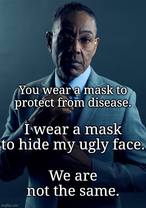 Gus Fring we are not the same | You wear a mask to protect from disease. I wear a mask to hide my ugly face. We are not the same. | image tagged in gus fring we are not the same | made w/ Imgflip meme maker