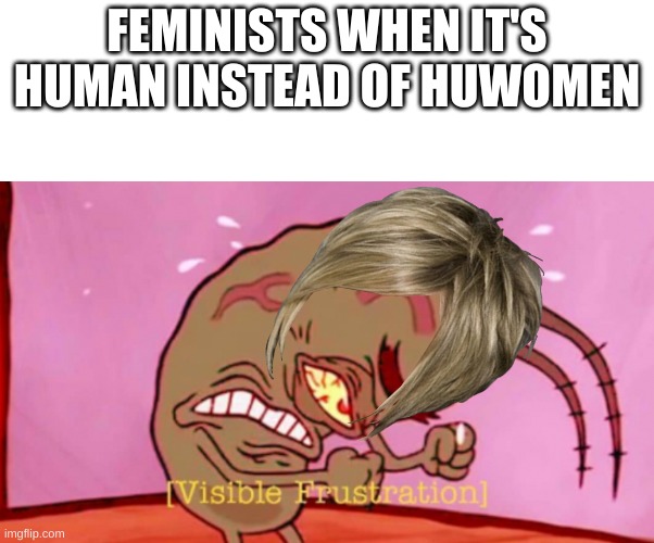 Visible Frustration HD | FEMINISTS WHEN IT'S HUMAN INSTEAD OF HUWOMEN | image tagged in visible frustration hd | made w/ Imgflip meme maker