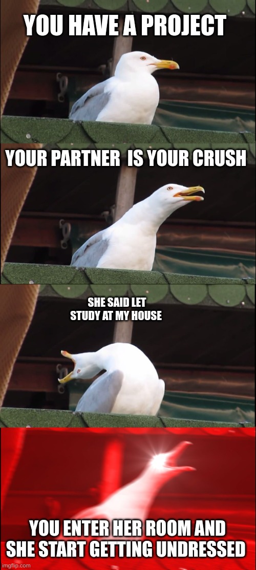 candy crush | YOU HAVE A PROJECT; YOUR PARTNER  IS YOUR CRUSH; SHE SAID LET STUDY AT MY HOUSE; YOU ENTER HER ROOM AND SHE START GETTING UNDRESSED | image tagged in memes,inhaling seagull,crush | made w/ Imgflip meme maker