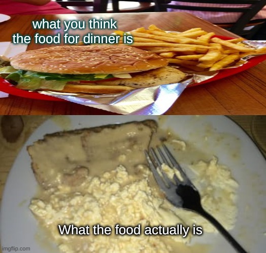 dinner in a nutshell |  what you think the food for dinner is; What the food actually is | image tagged in food,disgusting,french fries,hamburgers | made w/ Imgflip meme maker
