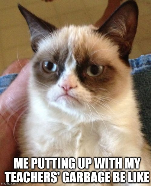 today wasn't the best school day... | ME PUTTING UP WITH MY TEACHERS' GARBAGE BE LIKE | image tagged in memes,grumpy cat,school,unhelpful high school teacher,cats,barney will eat all of your delectable biscuits | made w/ Imgflip meme maker