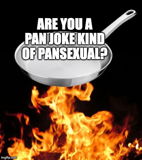 I am lmao | ARE YOU A PAN JOKE KIND OF PANSEXUAL? | image tagged in frying pan to fire | made w/ Imgflip meme maker