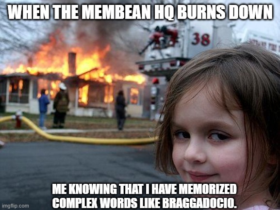Disaster Girl smiles to burning Membean HQ | WHEN THE MEMBEAN HQ BURNS DOWN; ME KNOWING THAT I HAVE MEMORIZED COMPLEX WORDS LIKE BRAGGADOCIO. | image tagged in memes,disaster girl | made w/ Imgflip meme maker