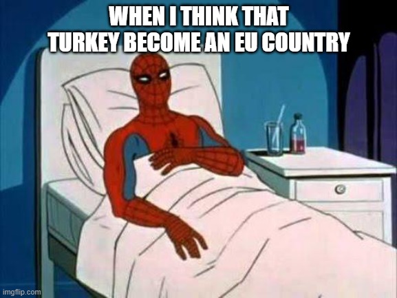 To think that Turkey included in the EU. |  WHEN I THINK THAT TURKEY BECOME AN EU COUNTRY | image tagged in spiderman in hospital,funny,funny memes,funny meme,memes,turkey | made w/ Imgflip meme maker