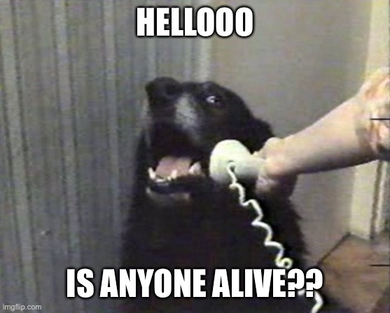 Helloooooooooo | HELLOOO; IS ANYONE ALIVE?? | image tagged in hello this is dog | made w/ Imgflip meme maker