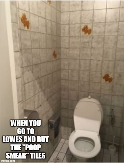 Tiled | WHEN YOU GO TO LOWES AND BUY THE "POOP SMEAR" TILES | image tagged in you had one job | made w/ Imgflip meme maker