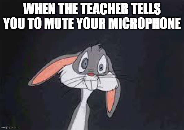 Bugs Bunny Huh? | WHEN THE TEACHER TELLS YOU TO MUTE YOUR MICROPHONE | image tagged in bugs bunny huh | made w/ Imgflip meme maker