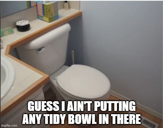 Restricted Access | GUESS I AIN'T PUTTING ANY TIDY BOWL IN THERE | image tagged in you had one job | made w/ Imgflip meme maker