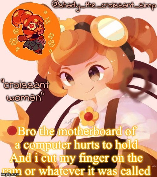 Also helloe chat | Bro the motherboard of a computer hurts to hold
And i cut my finger on the ram or whatever it was called | image tagged in yet another croissant woman temp thank syoyroyoroi | made w/ Imgflip meme maker