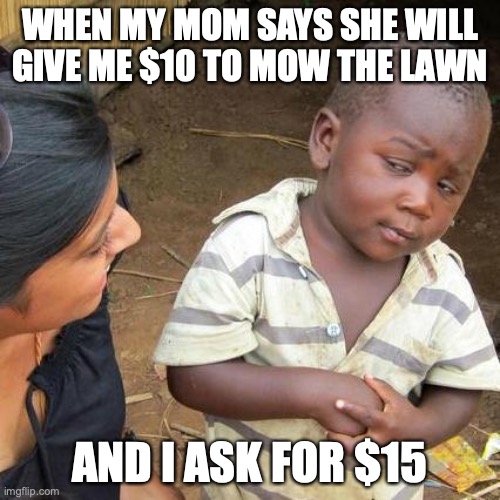 when you ask for more for mowing the lawn | WHEN MY MOM SAYS SHE WILL GIVE ME $10 TO MOW THE LAWN; AND I ASK FOR $15 | image tagged in memes,third world skeptical kid | made w/ Imgflip meme maker