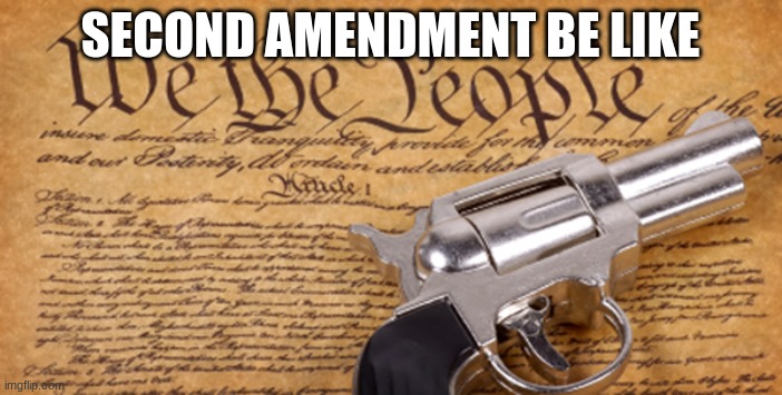 2nd Amendment | SECOND AMENDMENT BE LIKE | image tagged in 2nd amendment | made w/ Imgflip meme maker