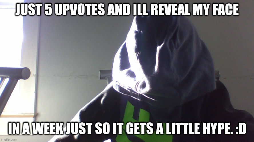 One Week For Hype.Then You Get To See My Face. :D |  JUST 5 UPVOTES AND ILL REVEAL MY FACE; IN A WEEK JUST SO IT GETS A LITTLE HYPE. :D | image tagged in face | made w/ Imgflip meme maker