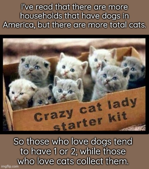 The truth about cats and dogs |  I've read that there are more households that have dogs in America, but there are more total cats. So those who love dogs tend
to have 1 or 2; while those
who love cats collect them. | image tagged in crazy cat lady starter kit | made w/ Imgflip meme maker