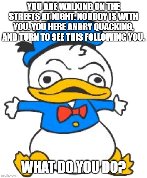 YOU ARE WALKING ON THE STREETS AT NIGHT. NOBODY IS WITH YOU. YOU HERE ANGRY QUACKING, AND TURN TO SEE THIS FOLLOWING YOU. WHAT DO YOU DO? | made w/ Imgflip meme maker
