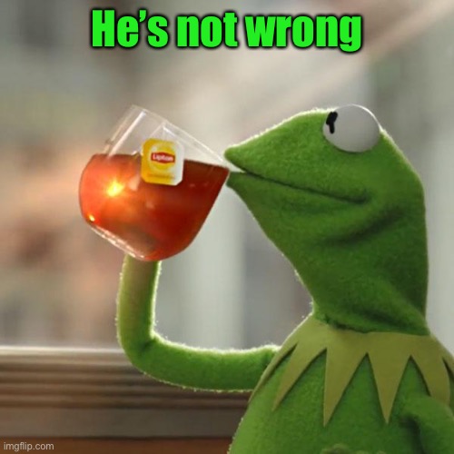 But That's None Of My Business Meme | He’s not wrong | image tagged in memes,but that's none of my business,kermit the frog | made w/ Imgflip meme maker