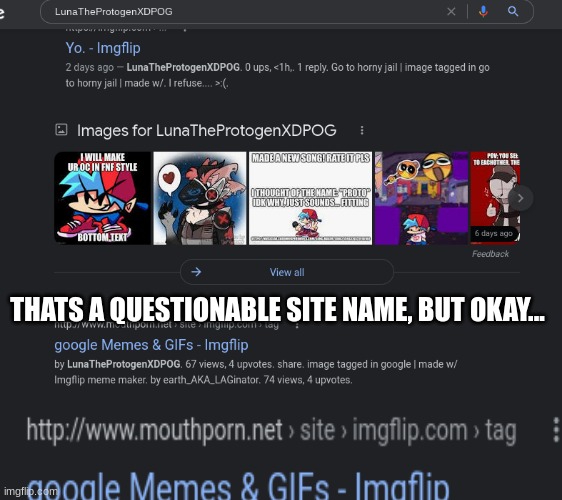 I searched myself on Google... | THATS A QUESTIONABLE SITE NAME, BUT OKAY... | image tagged in e | made w/ Imgflip meme maker