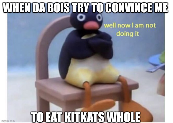 No | WHEN DA BOIS TRY TO CONVINCE ME; TO EAT KITKATS WHOLE | image tagged in well now i am not doing it | made w/ Imgflip meme maker