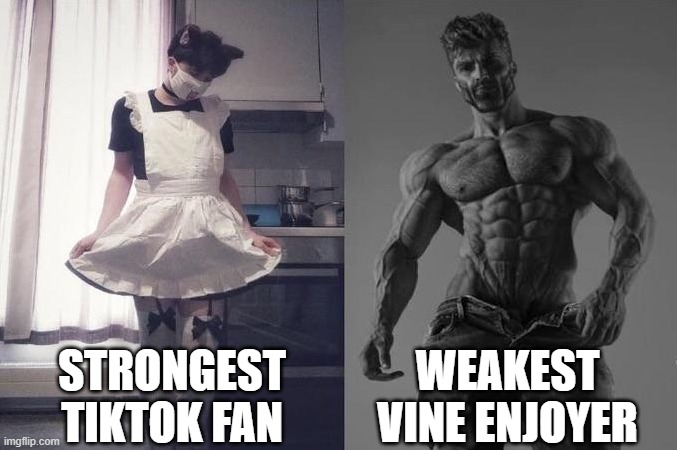 Strongest Fan VS Weakest Fan | STRONGEST TIKTOK FAN; WEAKEST VINE ENJOYER | image tagged in strongest fan vs weakest fan,tiktok sucks,vine is best | made w/ Imgflip meme maker