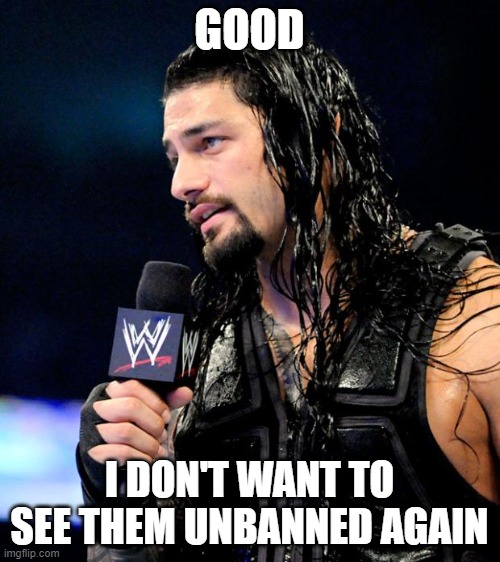 roman reigns | GOOD I DON'T WANT TO SEE THEM UNBANNED AGAIN | image tagged in roman reigns | made w/ Imgflip meme maker