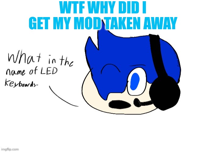 What in the name of LED keyboards- | WTF WHY DID I GET MY MOD TAKEN AWAY | image tagged in what in the name of led keyboards- | made w/ Imgflip meme maker