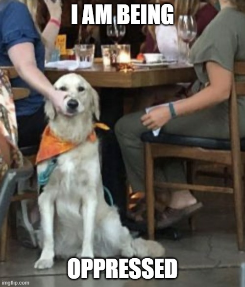 Dog under Table | I AM BEING; OPPRESSED | image tagged in dog under table | made w/ Imgflip meme maker