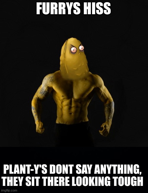 planty | FURRYS HISS; PLANT-Y'S DONT SAY ANYTHING, THEY SIT THERE LOOKING TOUGH | image tagged in black background | made w/ Imgflip meme maker