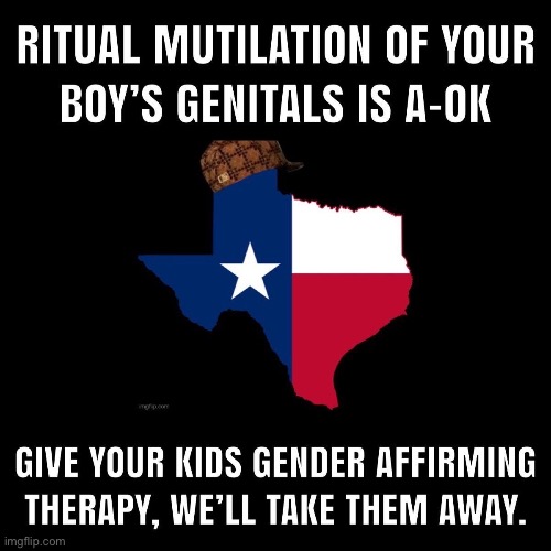 Evil Shit | image tagged in transgender,texas,fascism,lgbtq | made w/ Imgflip meme maker