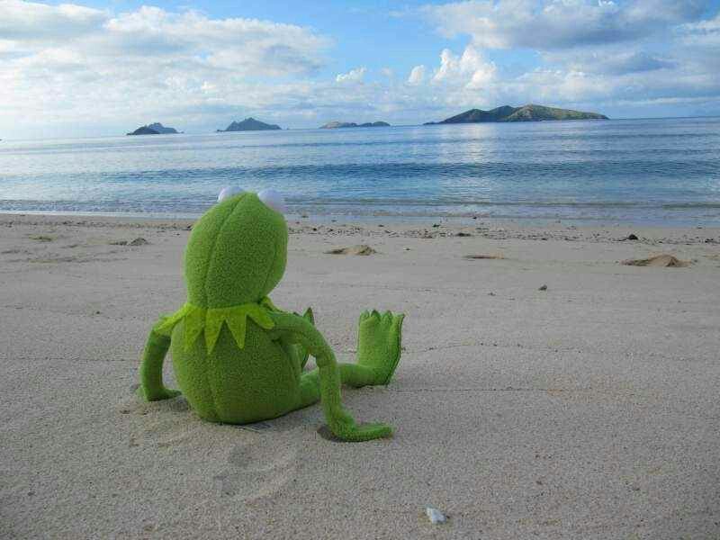 High Quality Kermit at beach Blank Meme Template