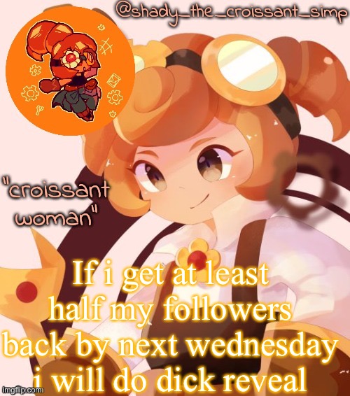 If i get at least half my followers back by next wednesday i will do dick reveal | image tagged in yet another croissant woman temp thank syoyroyoroi | made w/ Imgflip meme maker