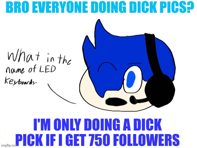 Obv this is a joke | BRO EVERYONE DOING DICK PICS? I'M ONLY DOING A DICK PICK IF I GET 750 FOLLOWERS | image tagged in what in the name of led keyboards- | made w/ Imgflip meme maker