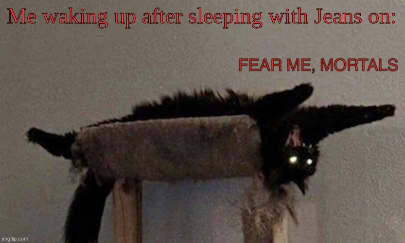 FEAR ME, MORTALS | Me waking up after sleeping with Jeans on: | image tagged in fear me mortals | made w/ Imgflip meme maker