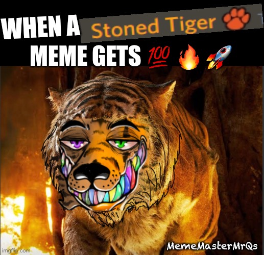 Meme Fire Signed Tiger | WHEN A; MEME GETS 💯 🔥 🚀; MemeMasterMrQs | image tagged in tiger,funny memes | made w/ Imgflip meme maker