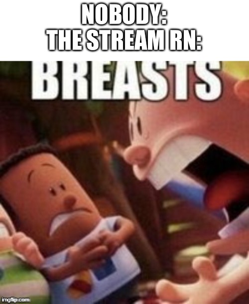 Breasts | NOBODY:
THE STREAM RN: | image tagged in breasts | made w/ Imgflip meme maker