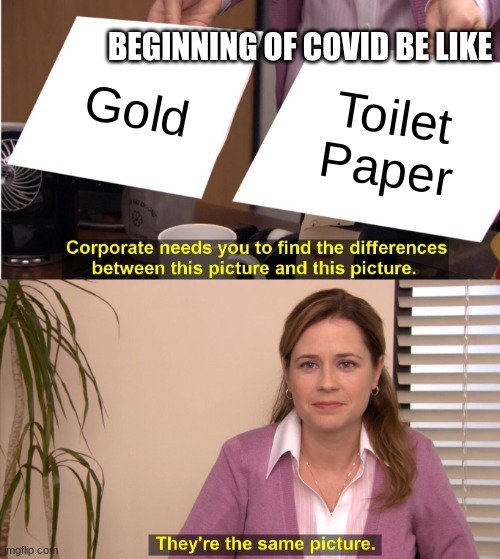 : | BEGINNING OF COVID BE LIKE; Gold; Toilet Paper | image tagged in memes,they're the same picture | made w/ Imgflip meme maker