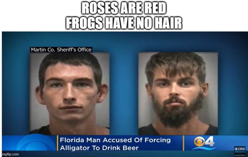 *Insert good title* | ROSES ARE RED
FROGS HAVE NO HAIR | image tagged in smh,florida man | made w/ Imgflip meme maker