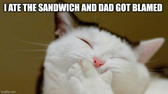 Laughing Cat | I ATE THE SANDWICH AND DAD GOT BLAMED | image tagged in laughing cat | made w/ Imgflip meme maker