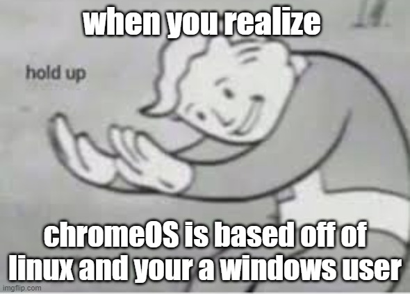 cmon google | when you realize; chromeOS is based off of linux and your a windows user | image tagged in hol up | made w/ Imgflip meme maker