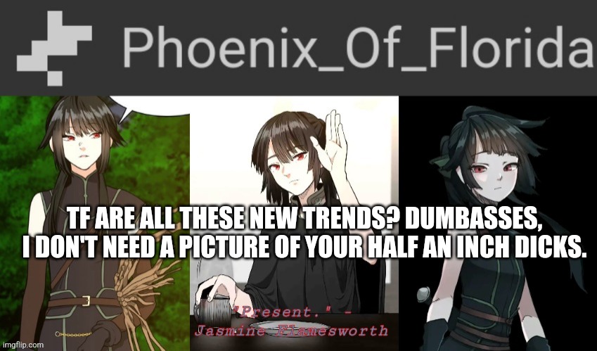 Phoenix's Jasmine Templet | TF ARE ALL THESE NEW TRENDS? DUMBASSES, I DON'T NEED A PICTURE OF YOUR HALF AN INCH DICKS. | image tagged in phoenix's jasmine templet | made w/ Imgflip meme maker