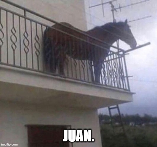 Juan | JUAN. | image tagged in juan | made w/ Imgflip meme maker